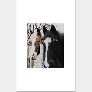 Pair of Friendly Horses Posters and Art